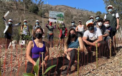Egresados U. de Chile desarrollan bosques comestibles en espacios públicos para combatir el cambio climático