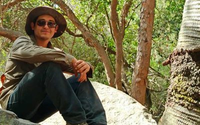 Silvicultura sustentable: el proyecto de manejo del boldo que lidera egresado de Ciencias Forestales